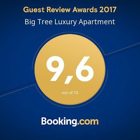 Big Tree Luxury Apartment Rom Eksteriør billede